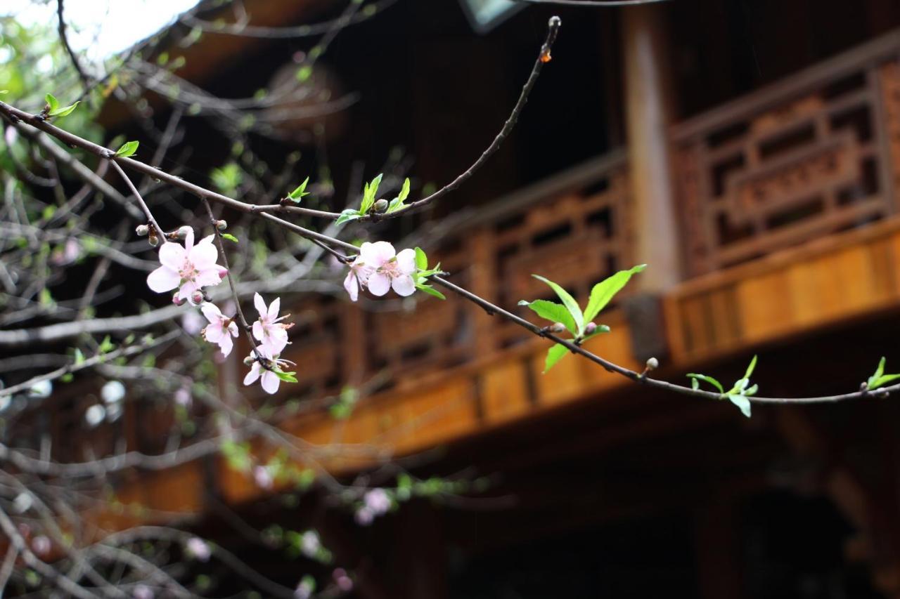 Maison Teahouse Homestay Хазянг Экстерьер фото